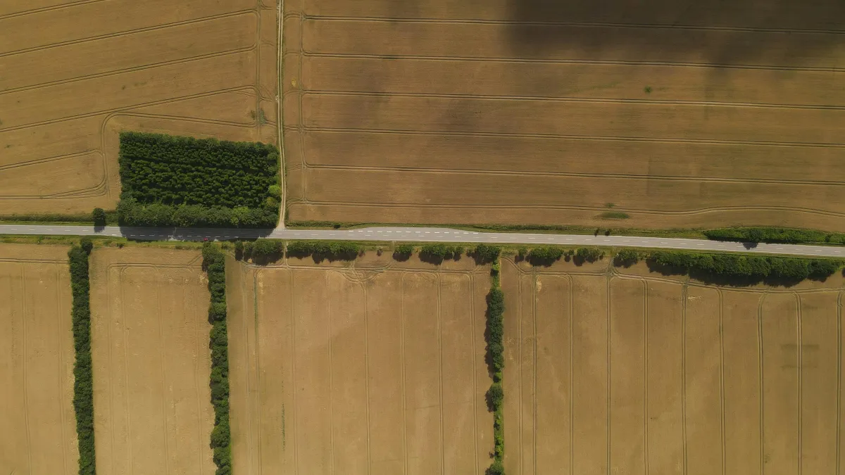 Oprettelse af ny landbrugsejendom – muligheder og begrænsninger for køber