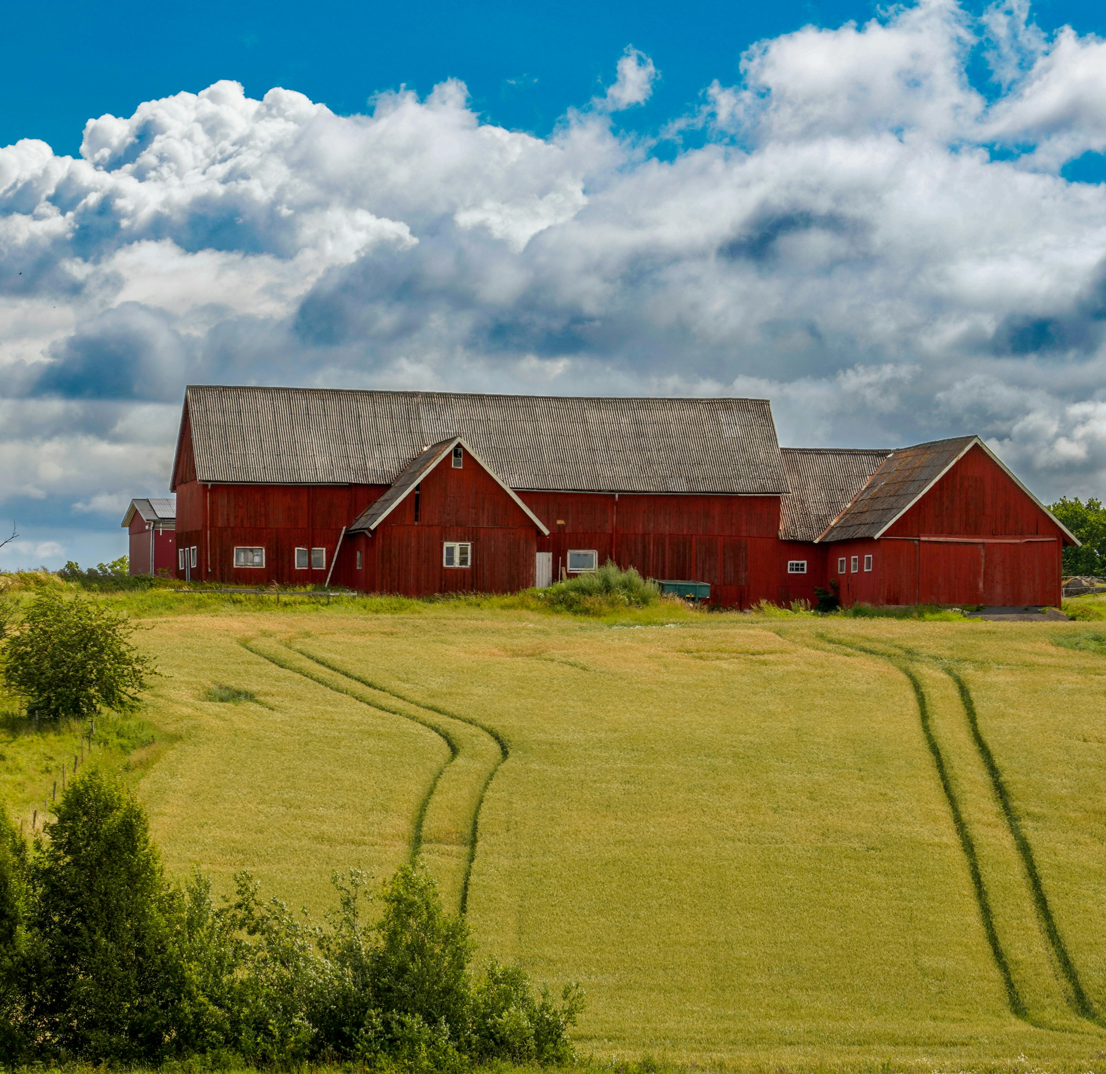 De nye ejendomsvurderinger for landbrugs- og skovejendomme