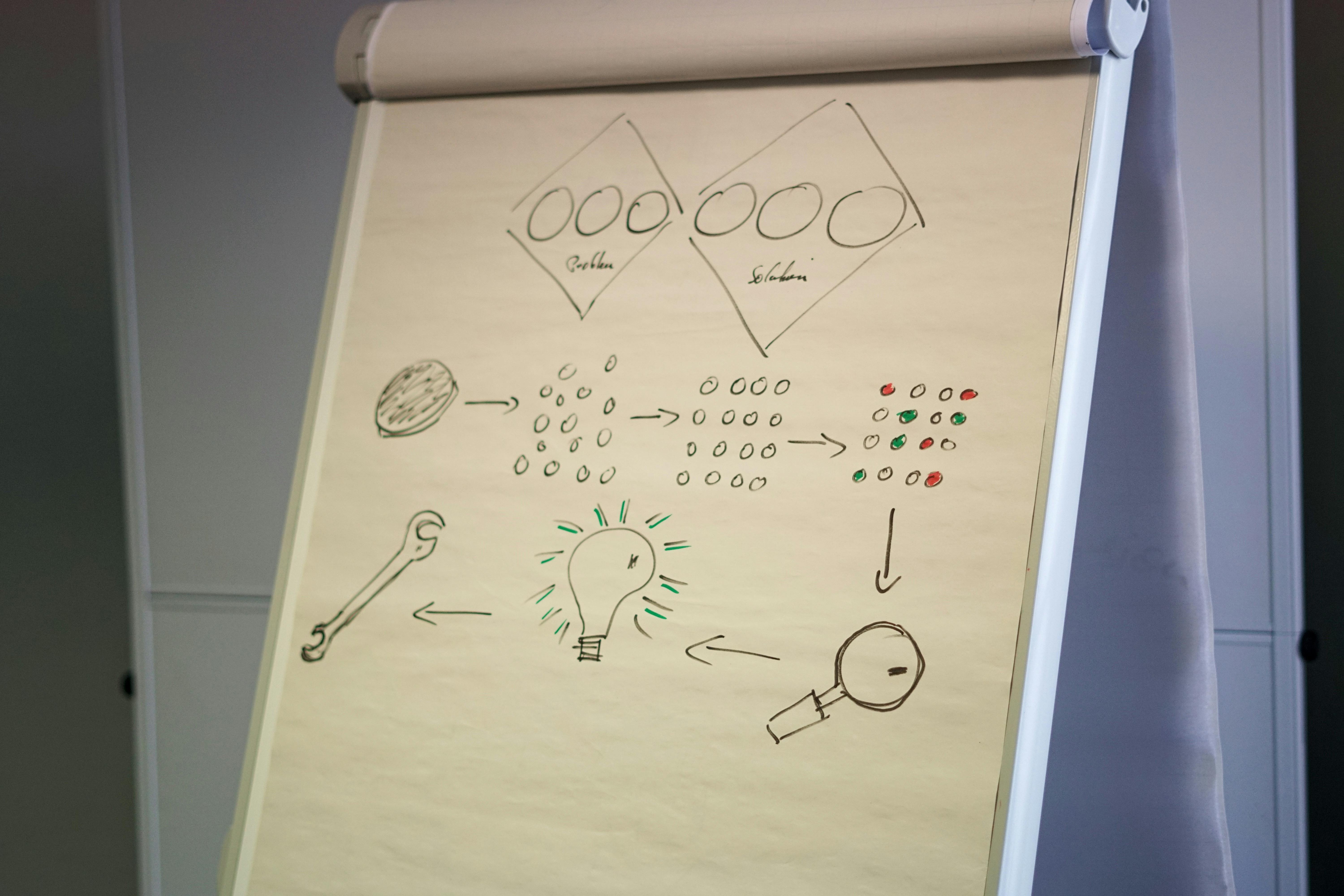 Compliance - funktion og strategi