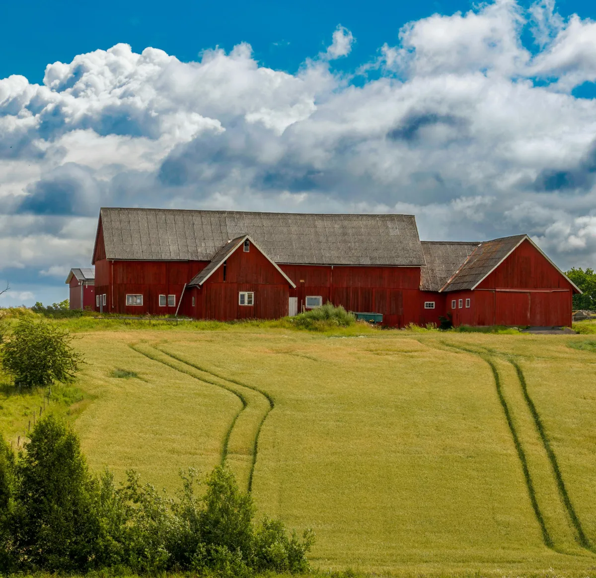 De nye ejendomsvurderinger for landbrugs- og skovejendomme