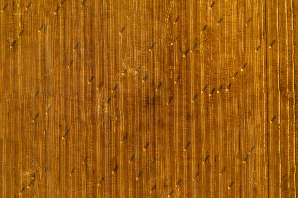 Aktindsigt - set fra helikopterperspektiv