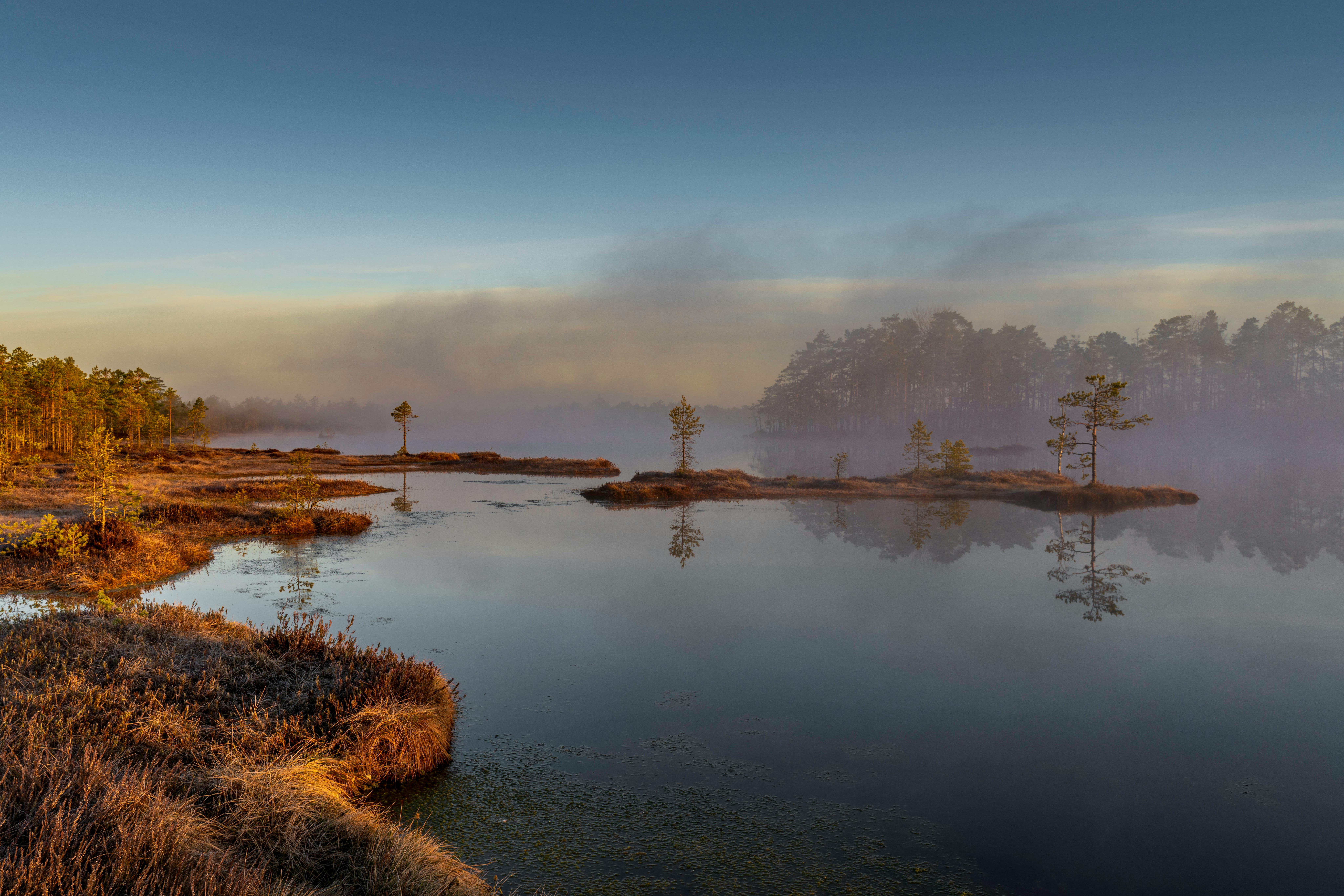 4DwIOMnMyu8zOuIsziVS