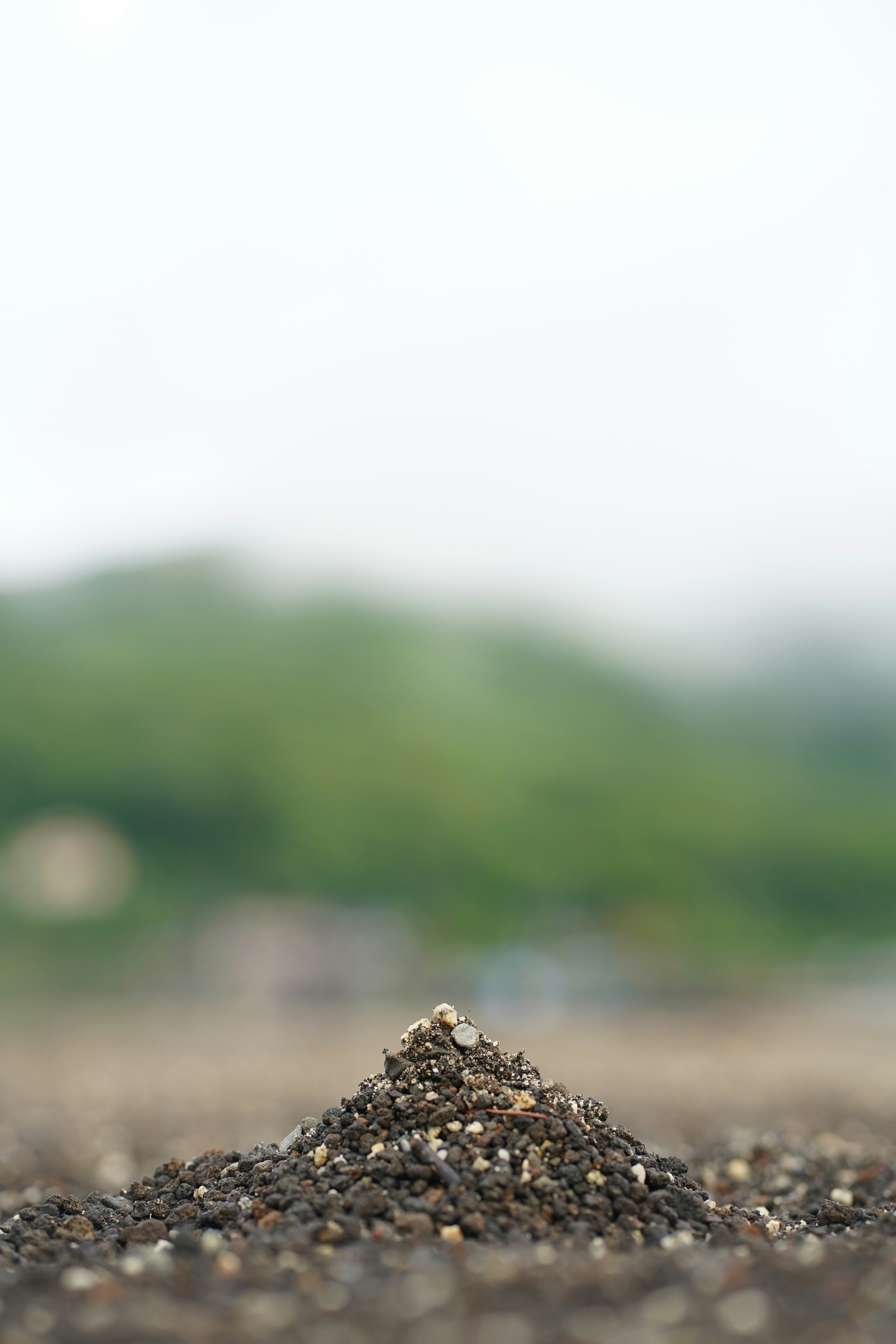 E1OBxTvZzxXBKMDmRR07