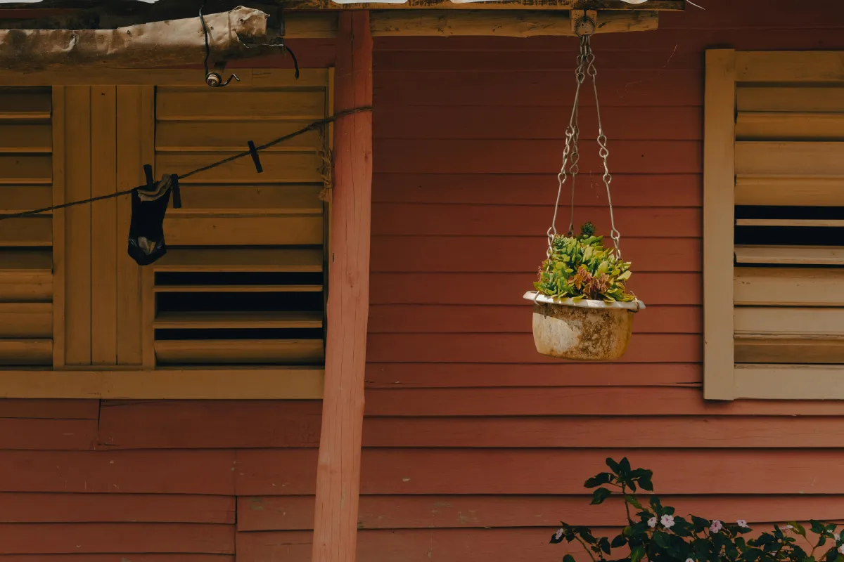 News about counterfeited products - an end to the Anne Black case