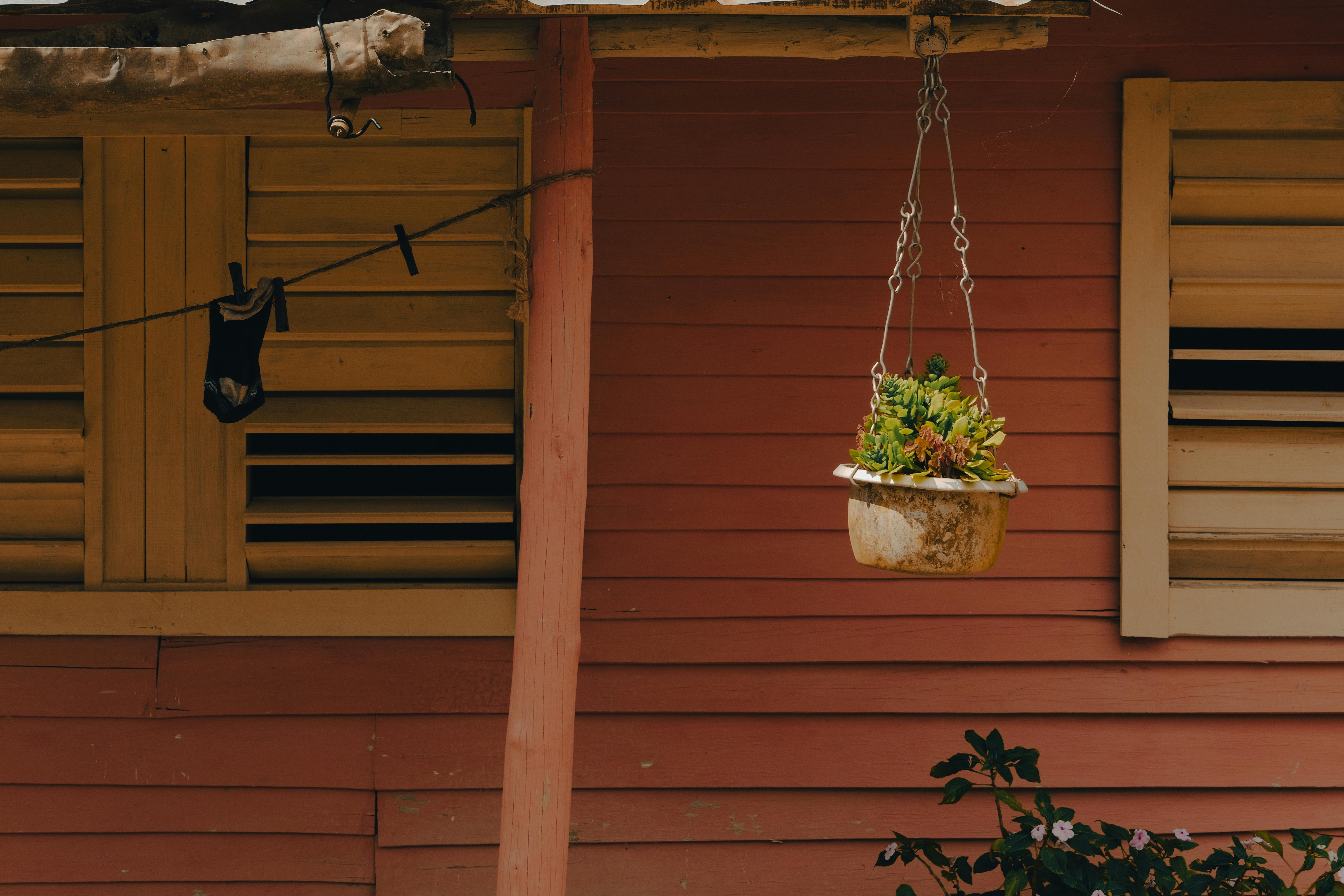 News about counterfeited products - an end to the Anne Black case