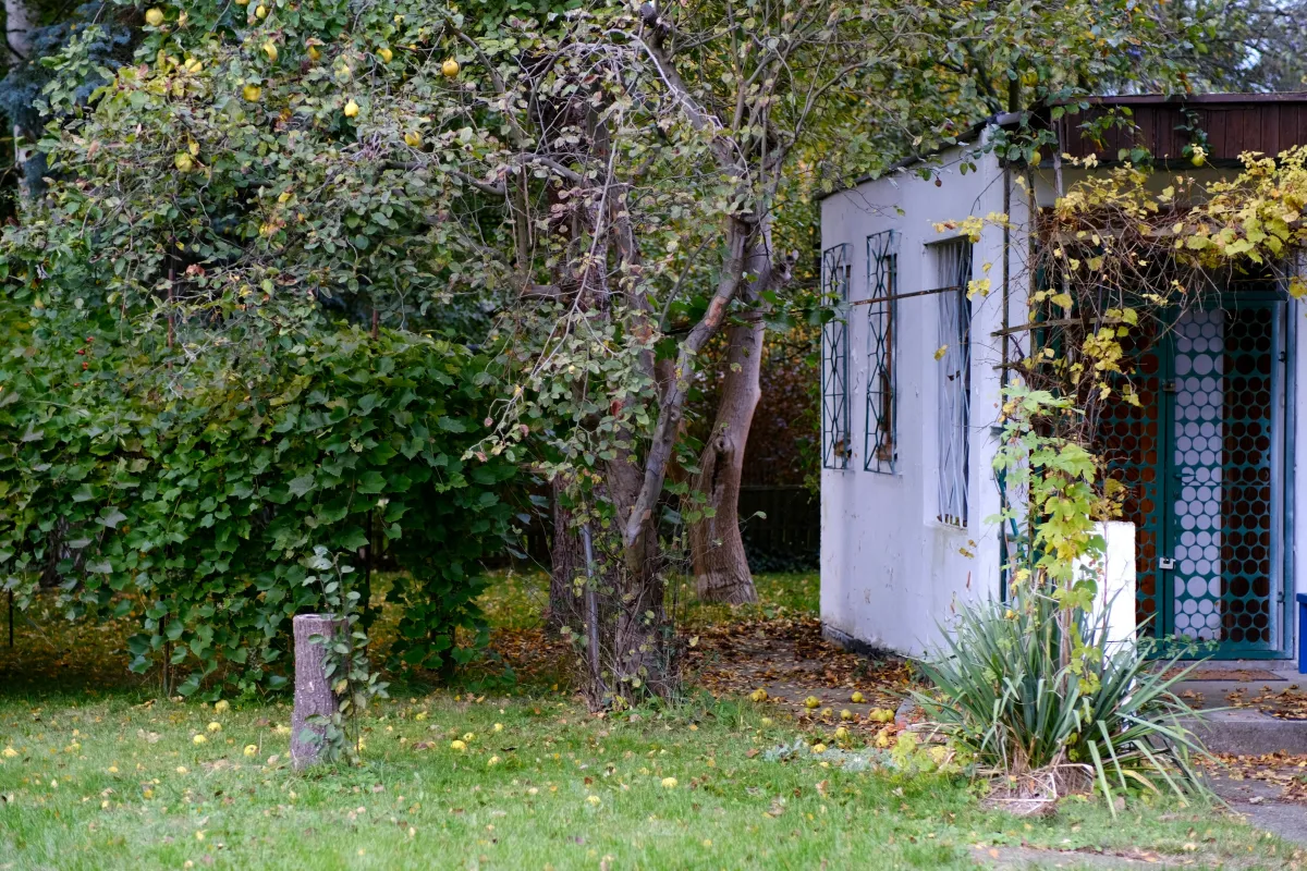 Henvisning til landsretten ikke tilladt
