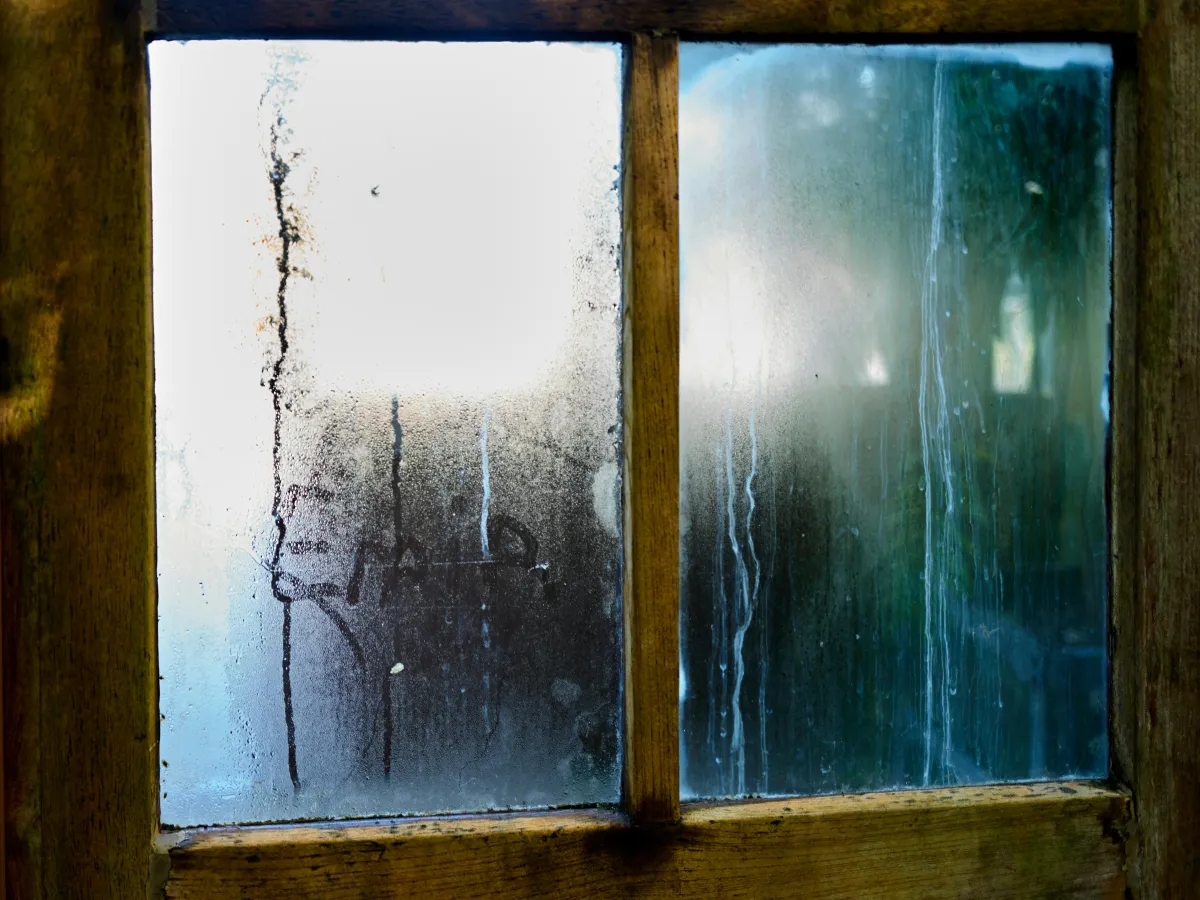 Skimmelsvamp i lejeboligen – hvad gør du?