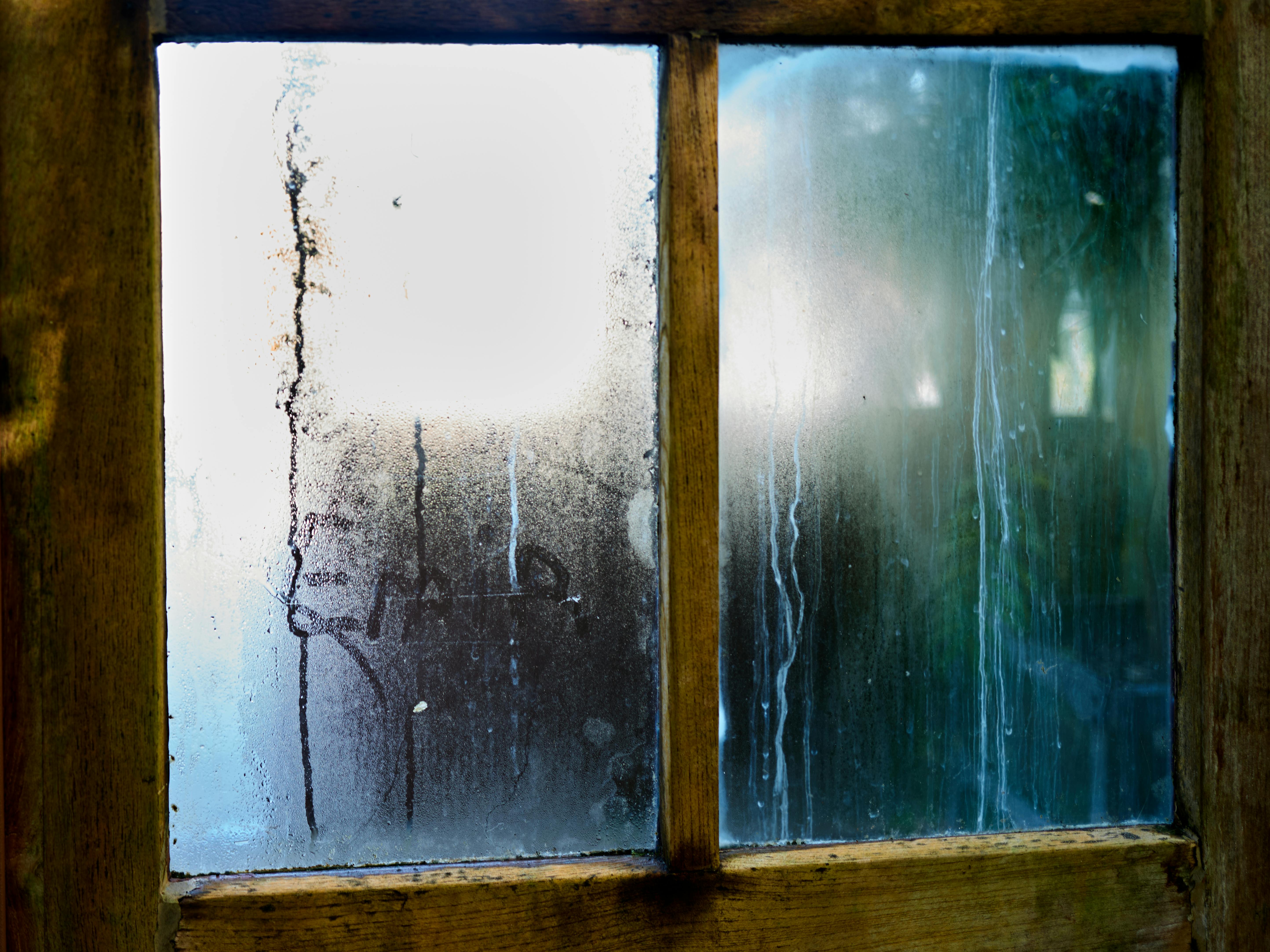 Skimmelsvamp i lejeboligen – hvad gør du?