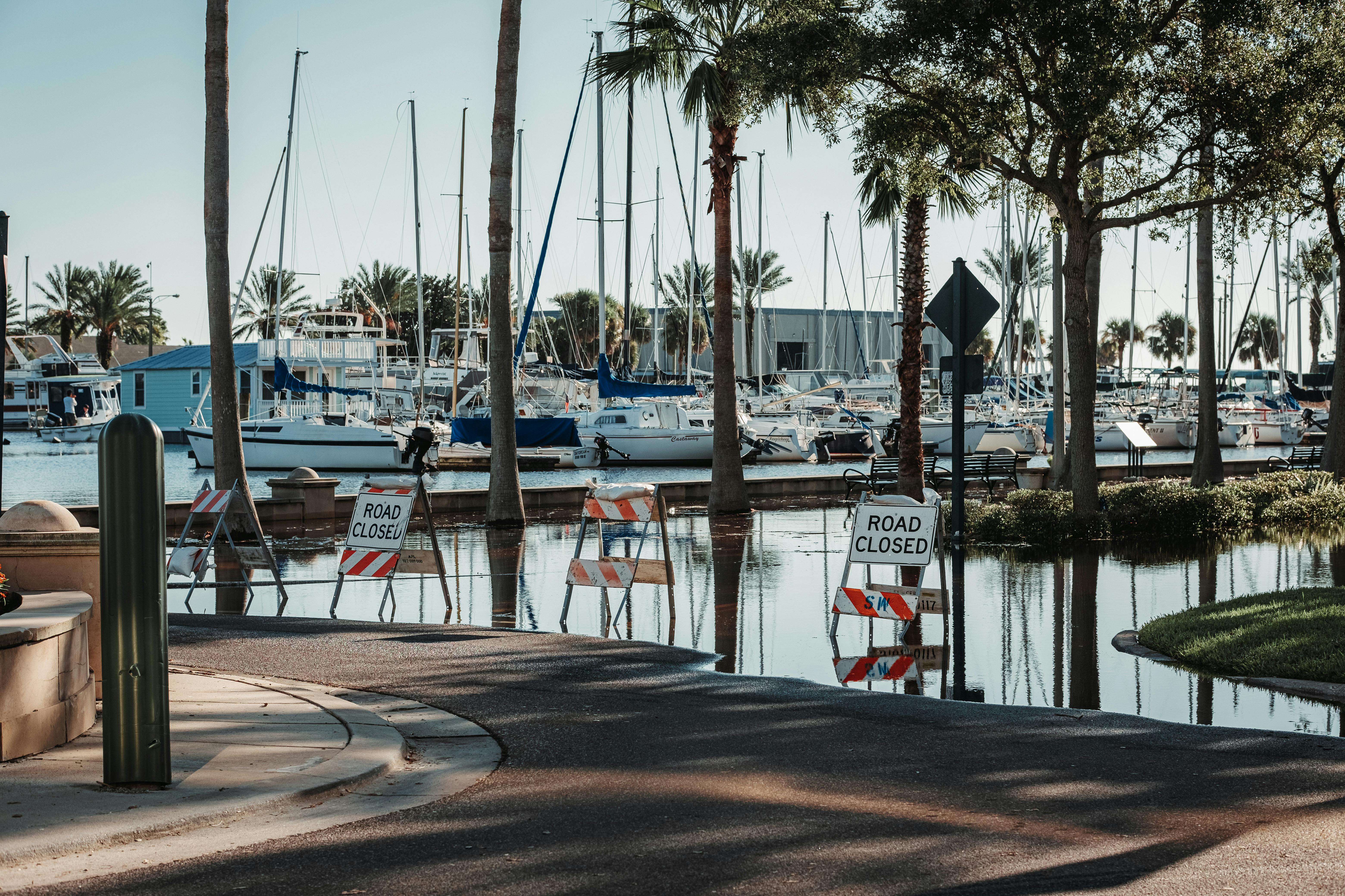 Hvad skal min virksomhed være opmærksom på ved stormskader?