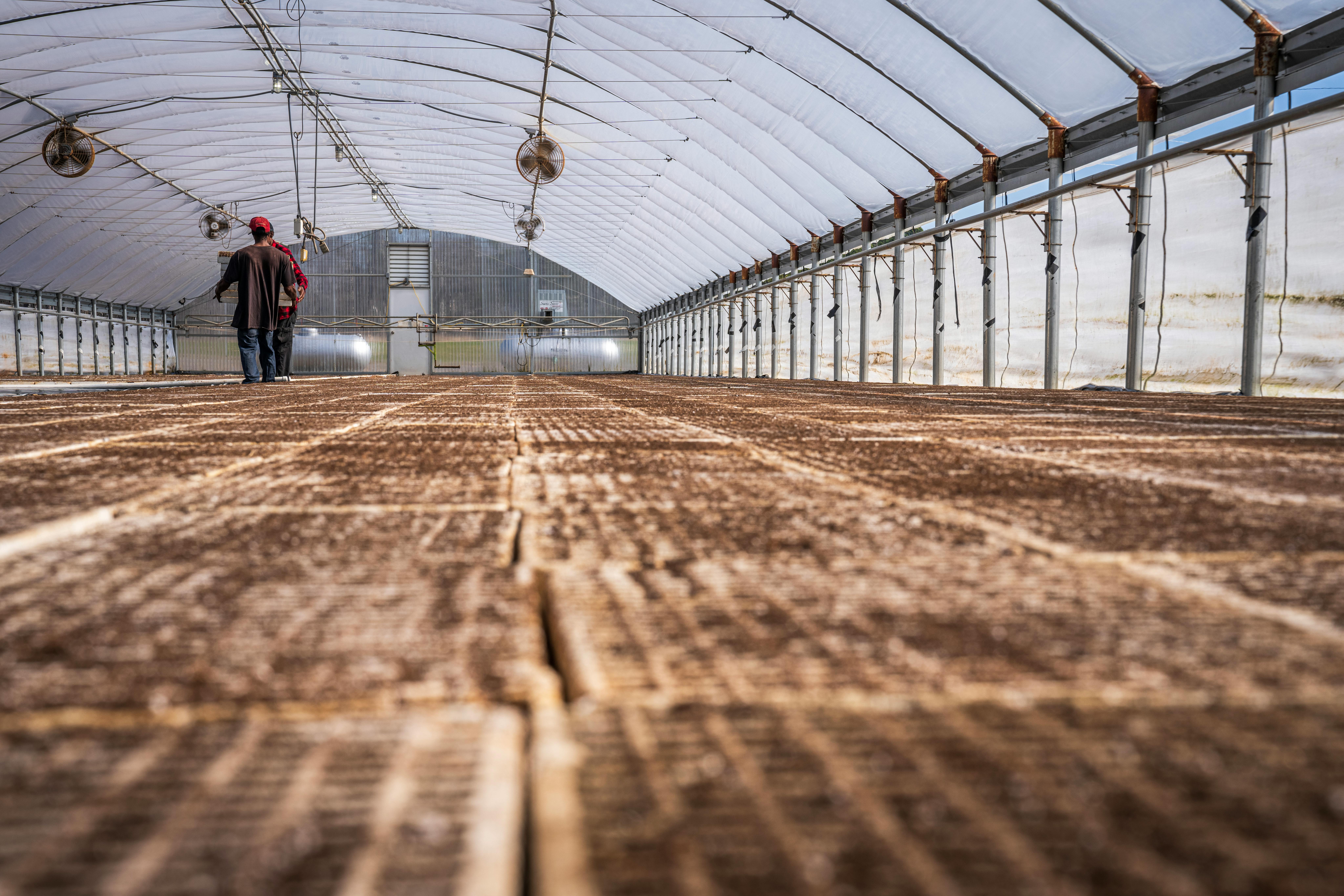 Drivhuskonstruktioner skulle ikke fortoldes som præfabrikerede bygninger