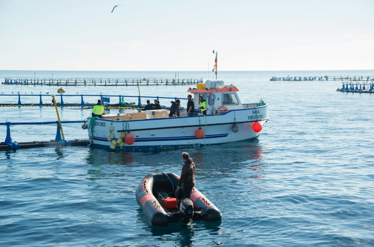 Havbruksmeldingen – reform av tillatelsessystemet og lusereguleringen